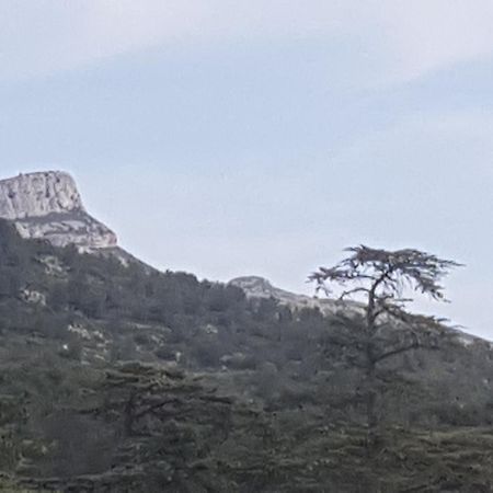 Charmant Appartement Neuf Le Taoume Marseille Eksteriør billede