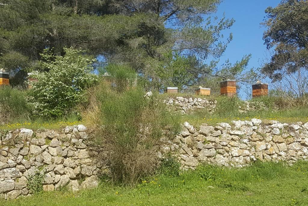 Charmant Appartement Neuf Le Taoume Marseille Eksteriør billede